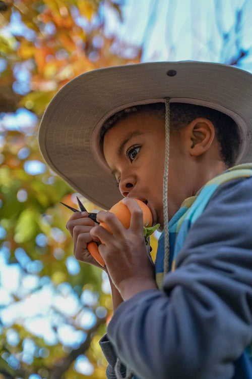 Black Farmers Cultivating Change