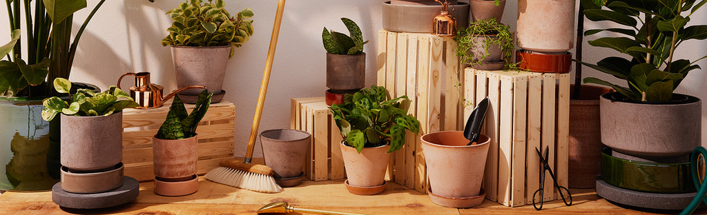 Pots + Planters