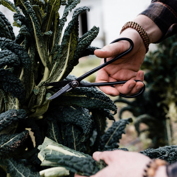 Barebones Artisan Trimming Shears